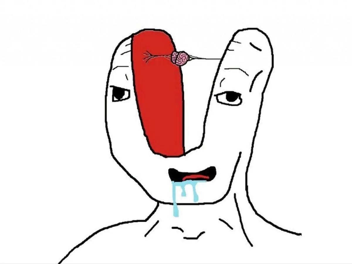 thiểu năng meme