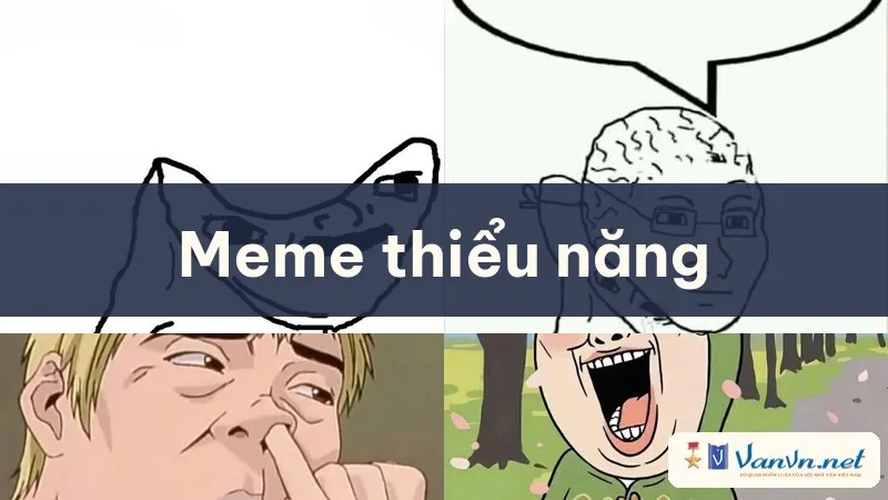 meme thiểu năng