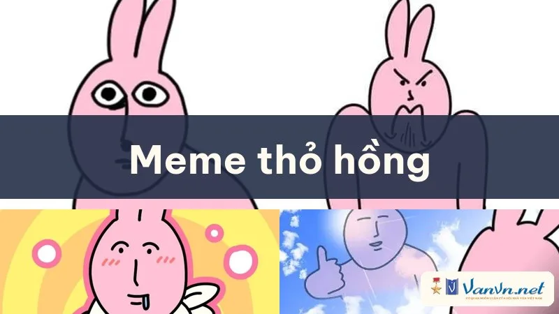 meme thỏ hồng
