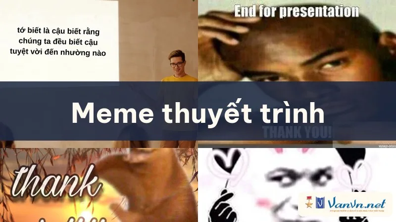 meme thuyết trình