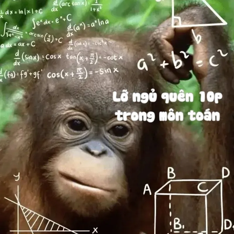 meme con khỉ tối cổ