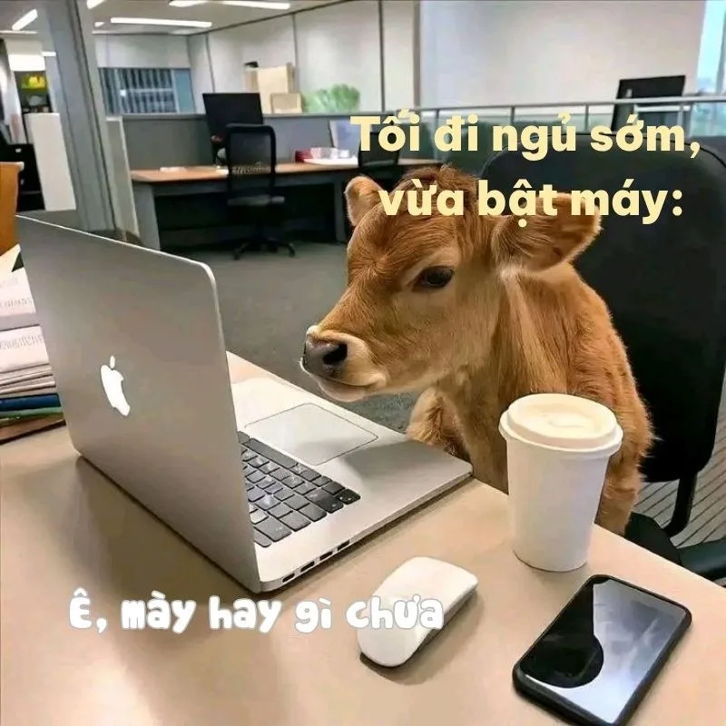 meme tối cổ