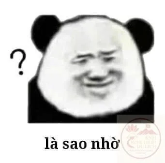 ảnh meme tối cổ