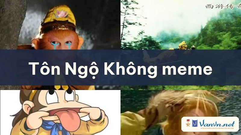 tôn ngộ không meme