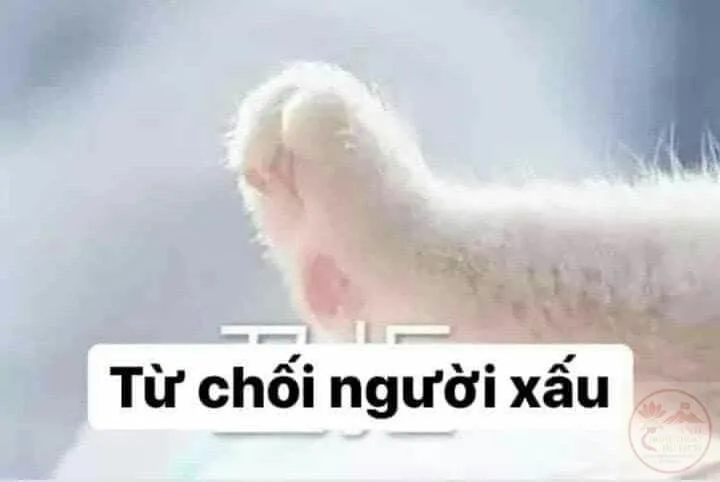 meme từ chối nhận người quen