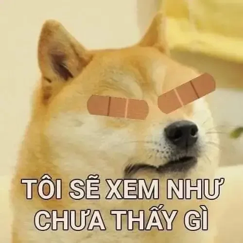meme từ chối hiểu