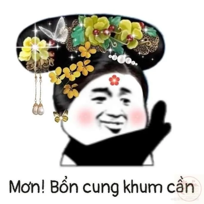 meme từ chối