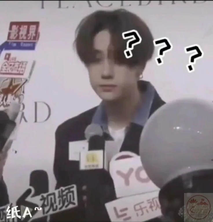 meme từ chối hiểu