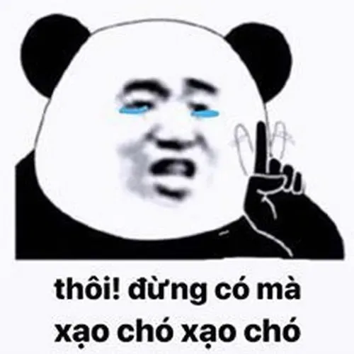 meme từ chối