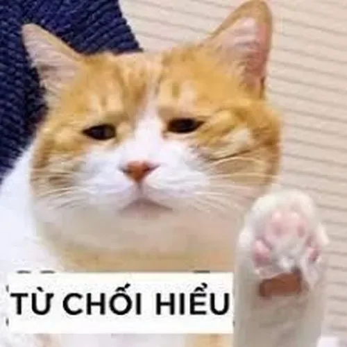 meme từ chối hiểu