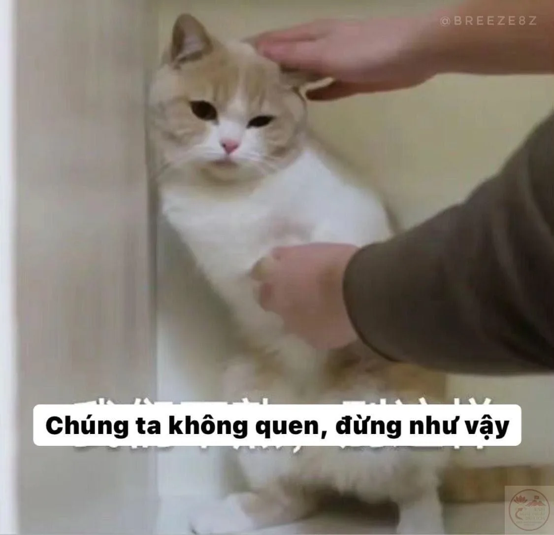 meme từ chối nhận người quen