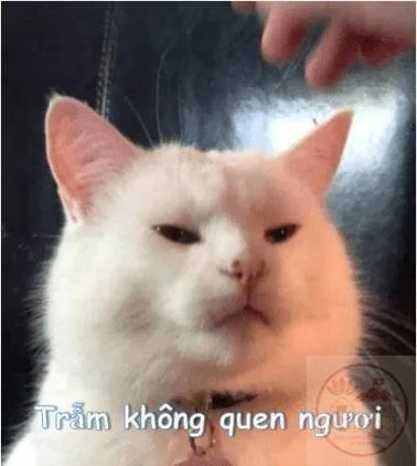 meme từ chối nhận người quen