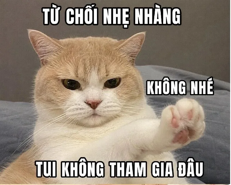 meme từ chối