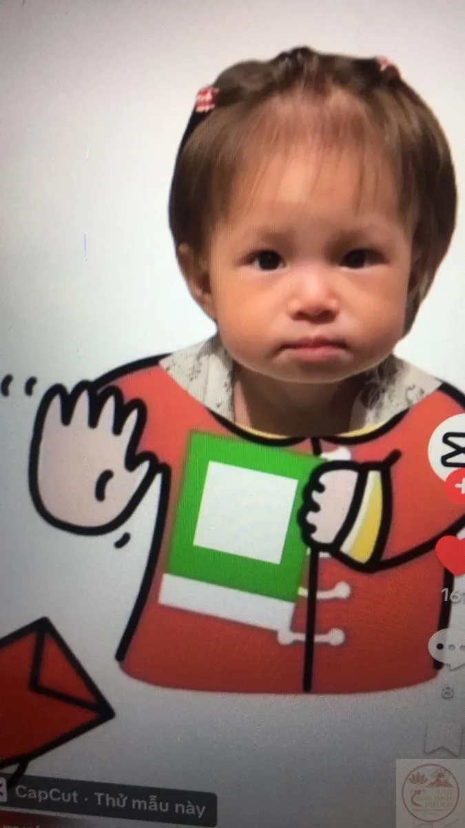 meme từ chối lì xì