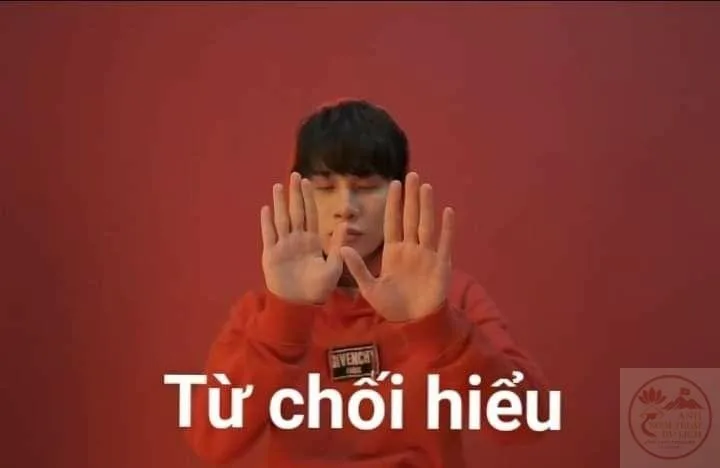 meme từ chối hiểu
