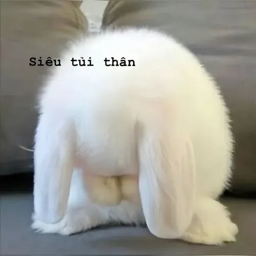 meme ngồi tủi thân