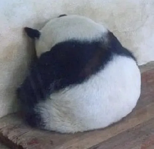 meme ngồi tủi thân