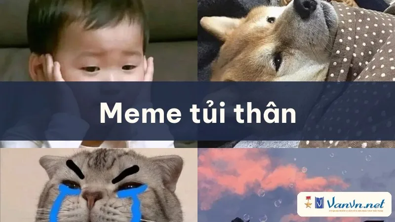 meme tủi thân