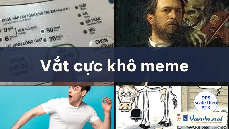 vắt cực khô meme