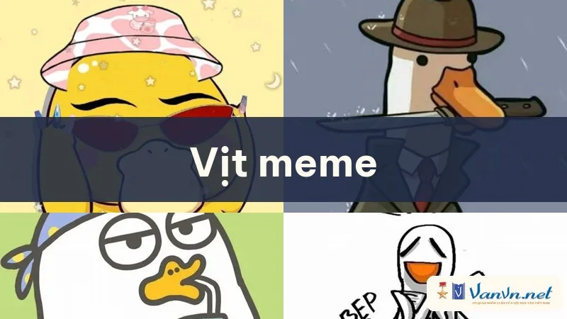 vịt meme