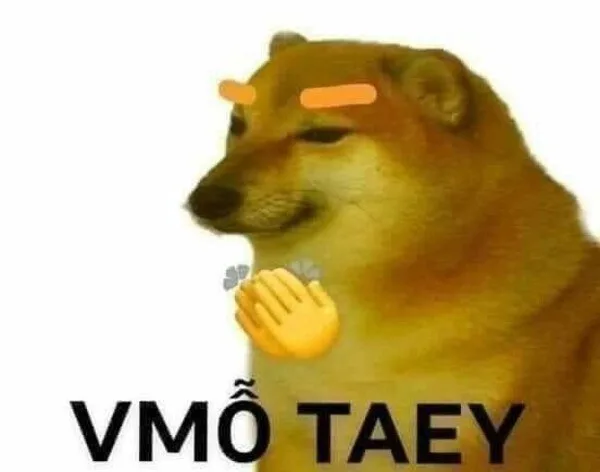 meme vỗ tay động vật