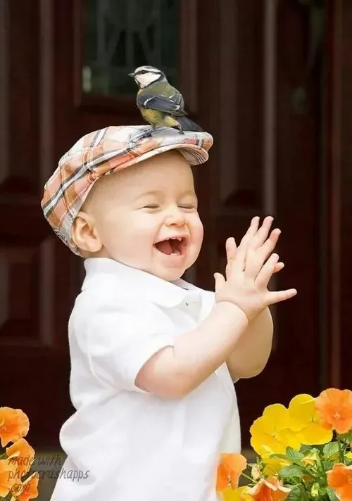 meme vỗ tay cute