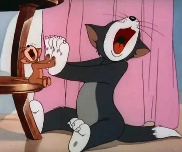 meme vỗ tay động vật