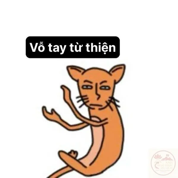 meme vỗ tay động vật