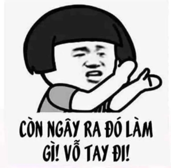 meme vỗ tay gấu trúc