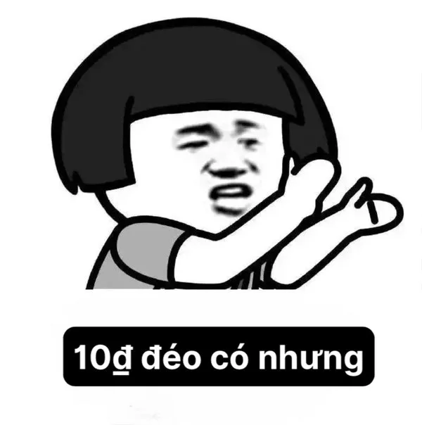 meme vỗ tay gấu trúc