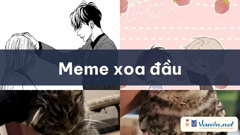 meme xoa đầu