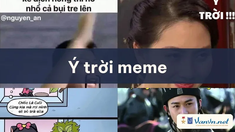 ý trời meme