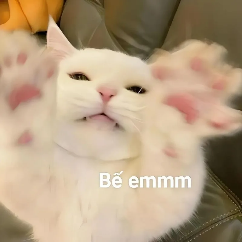 meme yêu anh