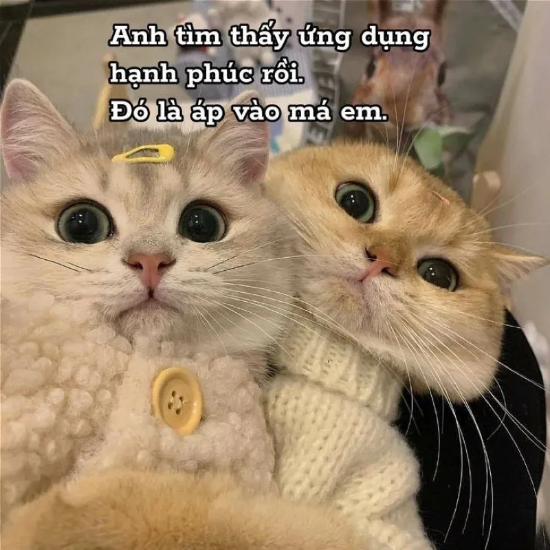 meme tình yêu hài hước
