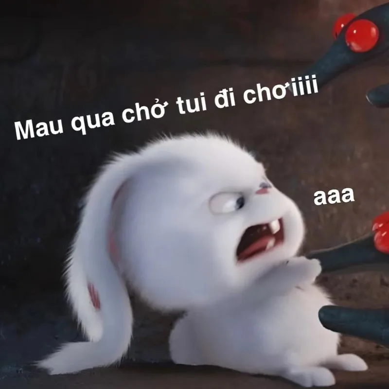 meme tình yêu hài hước
