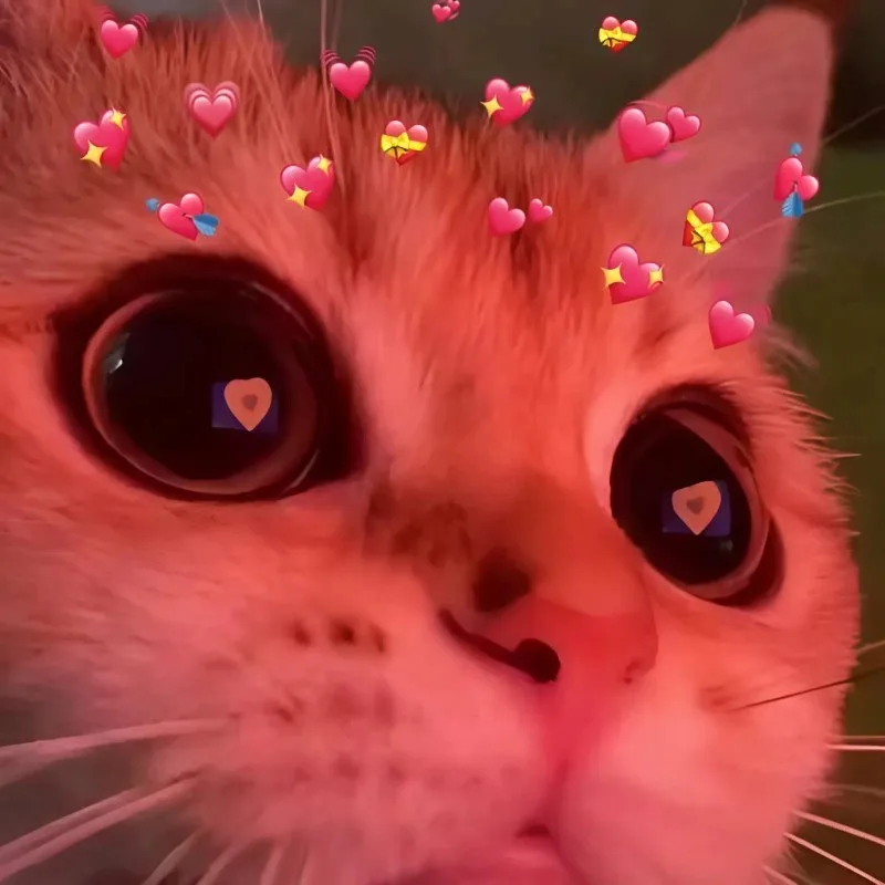 meme yêu thương
