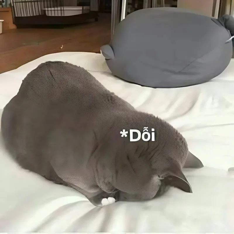 meme yêu nhiều