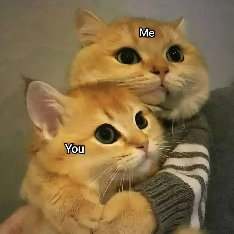 meme yêu nhiều