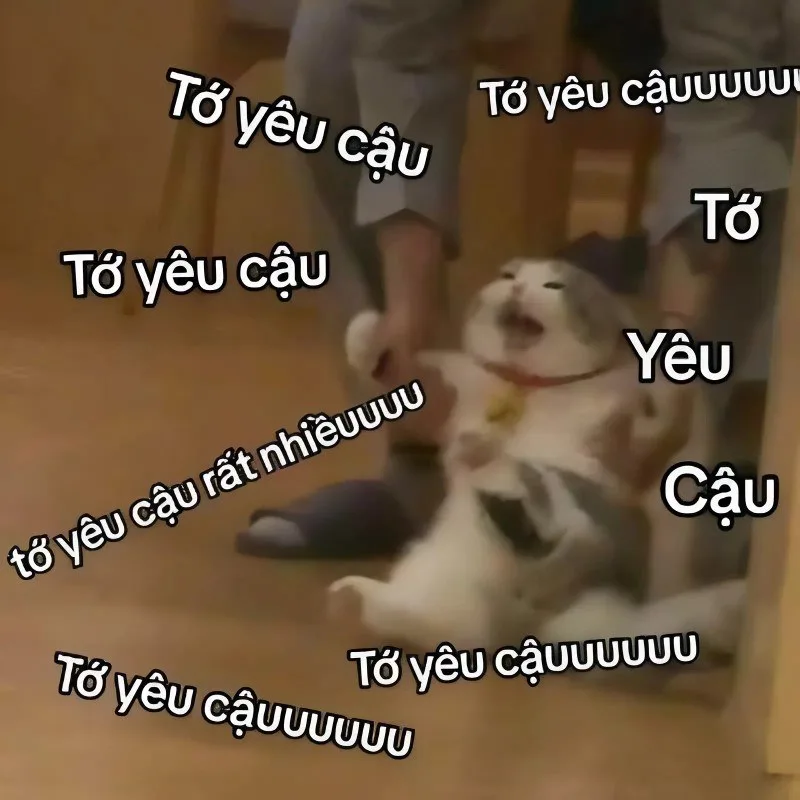 meme yêu nhiều