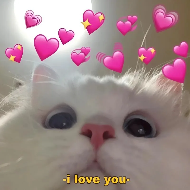 meme yêu thương