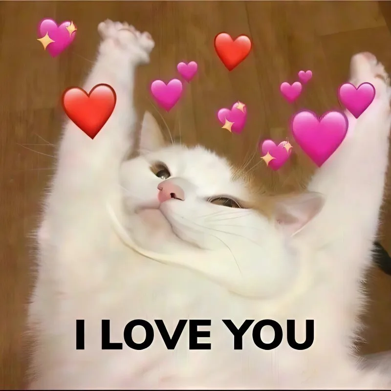 meme yêu thương