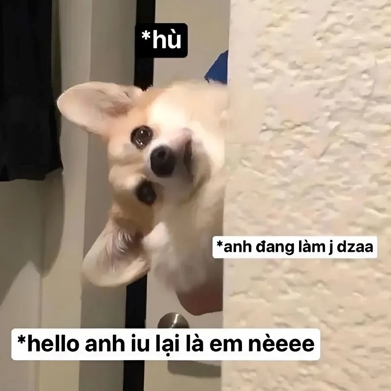 meme yêu anh
