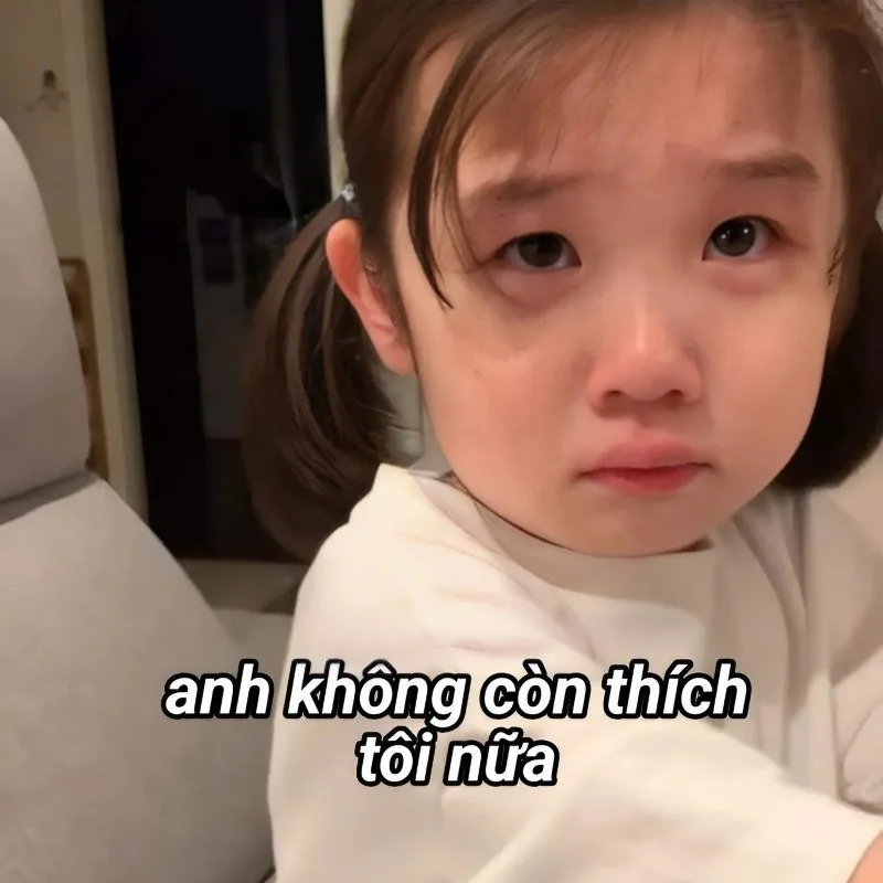 meme yêu anh