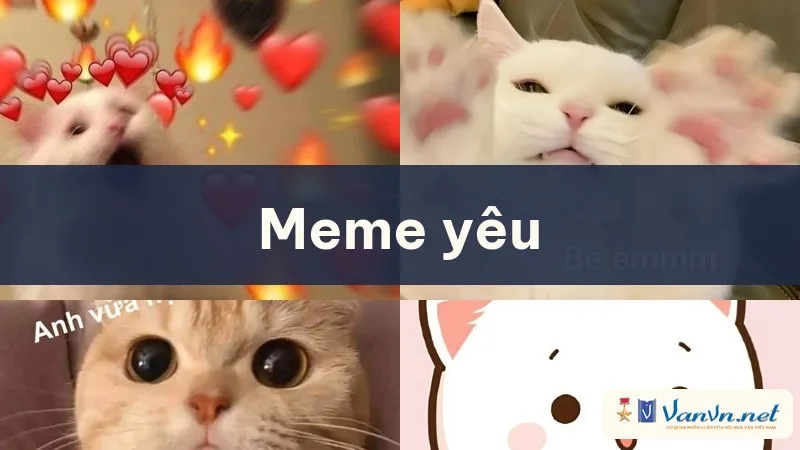 meme yêu