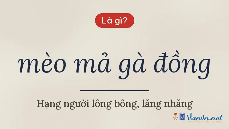 mèo mả gà đồng là gì