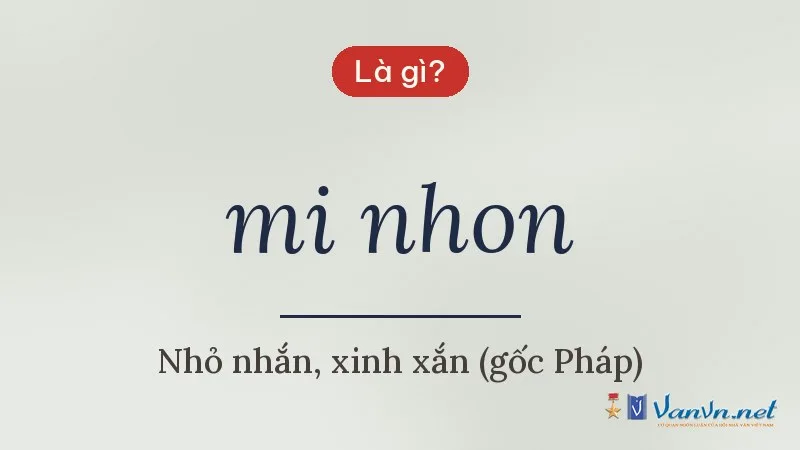 mi nhon là gì
