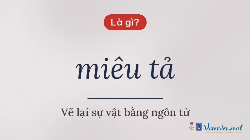 miêu tả là gì