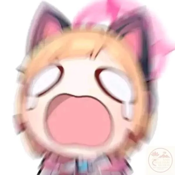 momoi meme