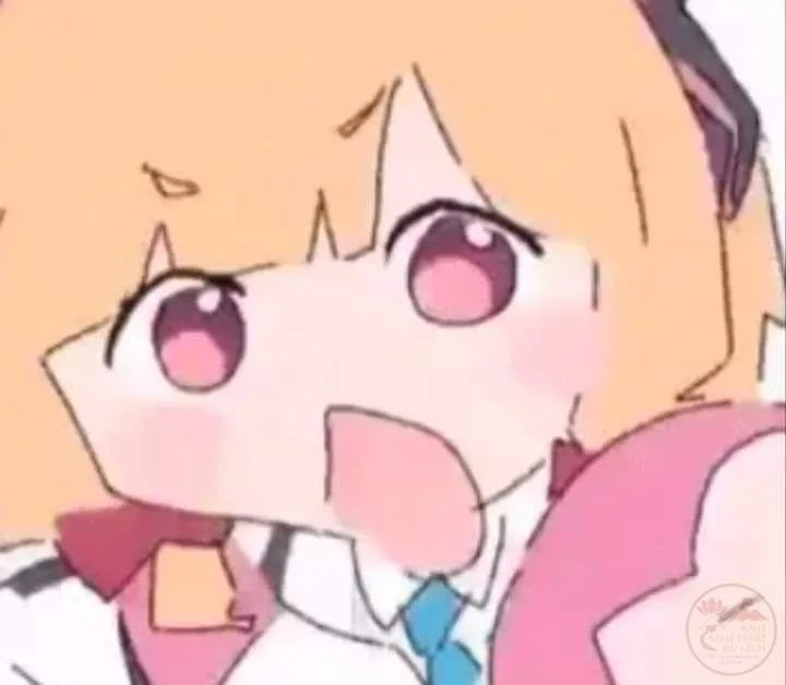 momoi meme