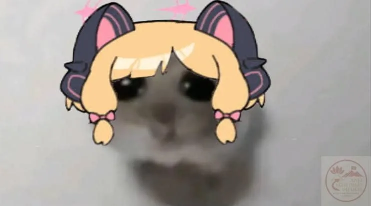 momoi meme